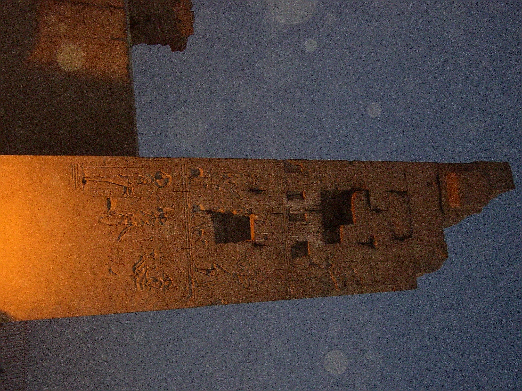 egitto lupo 3 076